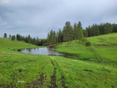 Pond