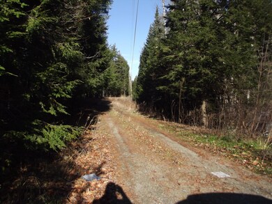 1, driveway