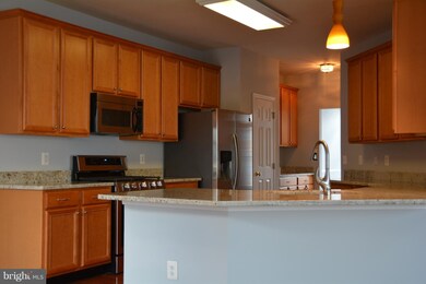 43720 Banshee Heights Terrace, Ashburn, VA 20148 - photo 6