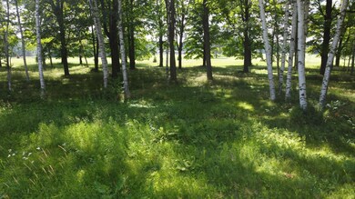 Lot 12 Hunter Cr, Antigo, WI 54409 - photo 4