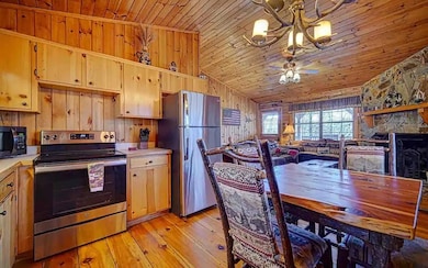 20 River Rock Rd, Ellijay, GA 30540 - photo 3