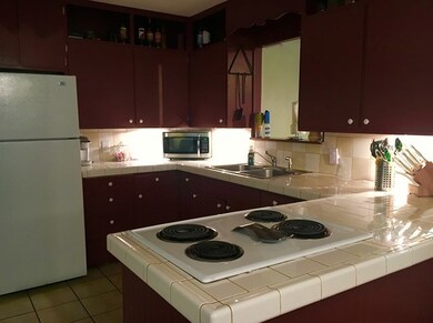 333 W Nimitz St, Fredericksburg, TX 78624 - photo 7