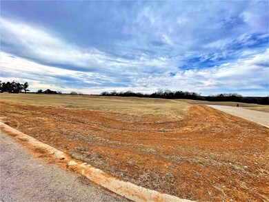 Lot 1D Pasadera, Gordonville, TX 76245 - photo 4