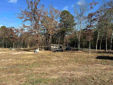 458 Union Hill Rd, Mount Ida, AR 71970 - photo 7