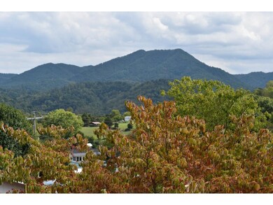 Views from the Front Porch