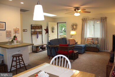 766 Ocean Pkwy, Berlin, MD 21811 - photo 3