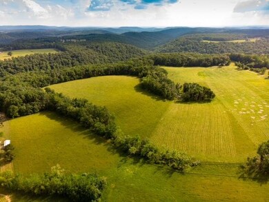 113.79Ac Falling Water Rd, Cookeville, TN 38506 - photo 5