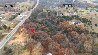 TBD S Pocola Blvd, Pocola, OK 74902 - photo 4