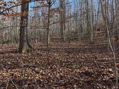 0 Oakville Rd unit 363197, Gladstone, VA 24553 - photo 4