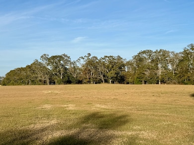 1413 Florida 79, Bonifay, FL 32425 - photo 3