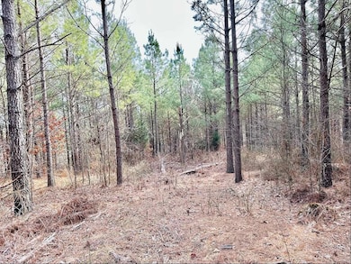 48 Ranches at Hickory Ridge, Dover, TN 37058 - photo 3