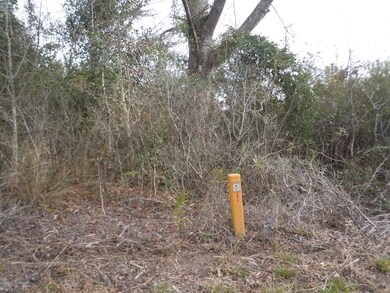 Mollie Road Pics 004