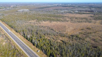 Highway 45, Birnamwood, WI 54414 - photo 2