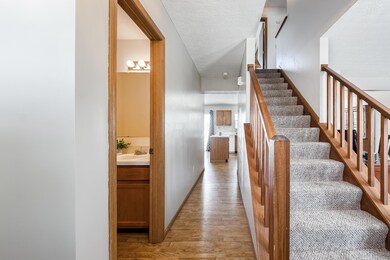 C - 3163 Ambarwent083