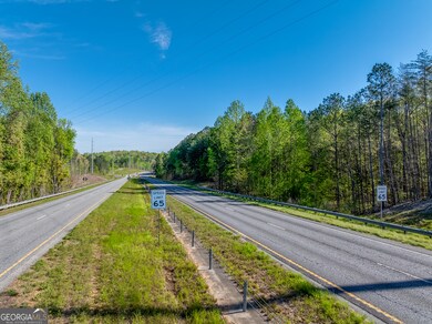 0 Georgia 400 N unit 10510411, Dawsonville, GA 30534 - photo 3