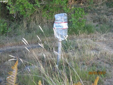 902 7th St, Lafayette, OR 97127 - photo 5