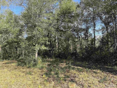 000 Highway 95a N, Cantonment, FL 32533 - photo 2