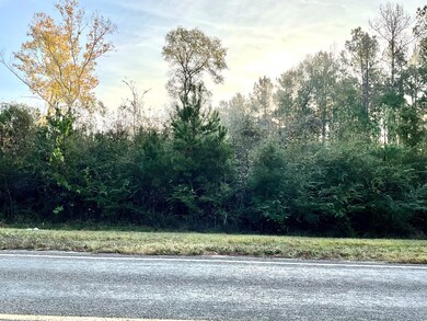 000 Highway 92, Spurger, TX 77660 - photo 4