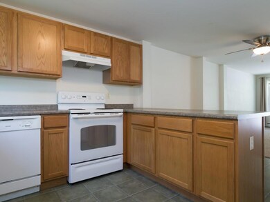 Stove with hood overhead.