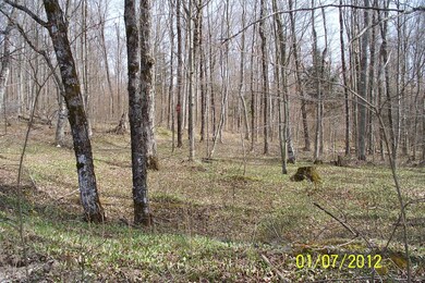 View of property