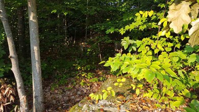 114 Valley View Ln unit 114-48, Lincoln, NH 03251 - photo 6