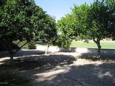Side yard