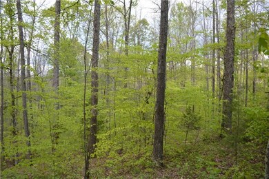 10 Jones Creek Rd, Dickson, TN 37055 - photo 3