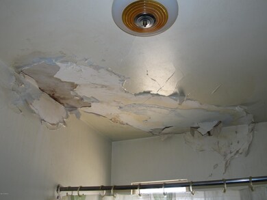 Bathroom ceiling