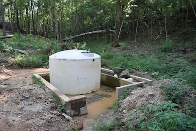 20298 Highway Vv, Licking, MO 65542 - photo 6