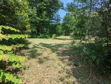 1207 Eager Dr, Albany, GA 31707 - photo 2