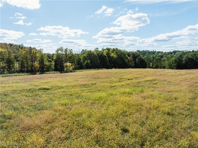 0 Moffett Rd, Lucas, OH 44843 - photo 4