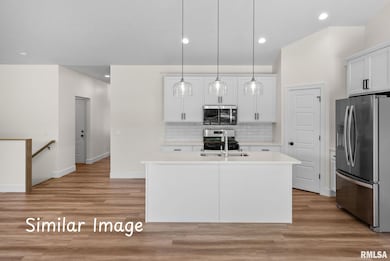 4743 Willow Cir, Davenport, IA 52806 - photo 6