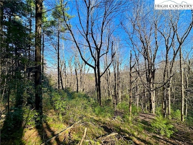 TBD George Hayes Rd, Boone, NC 28607 - photo 2