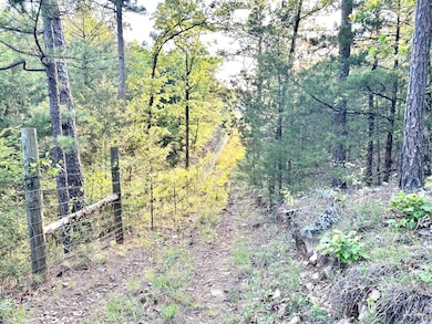 0 Ln, Heavener, OK 74937 - photo 3