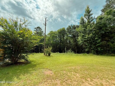 Right side of yard