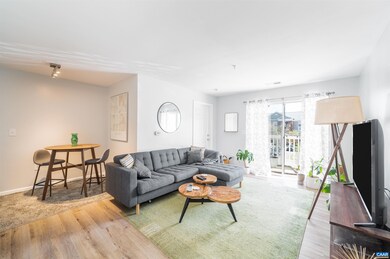 190 Yellowstone Dr unit 104, Charlottesville, VA 22903 - photo 4