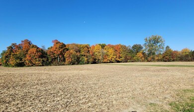 0KnorrParcel2_48131_2
