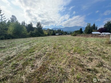 29438 X Highway 101, Quilcene, WA 98376 - photo 5