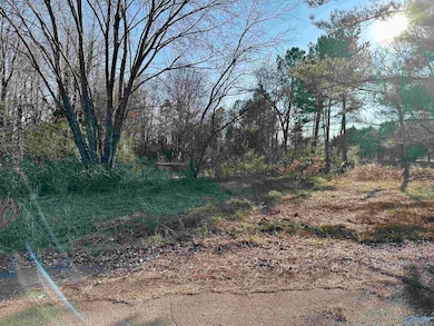 196 Teresa Dr, Madison, AL 35757 - photo 2