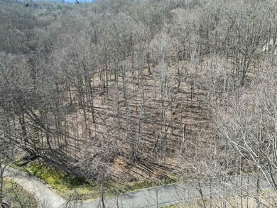 16 Chestnut Village unit 16, Mars Hill, NC 28754 - photo 2