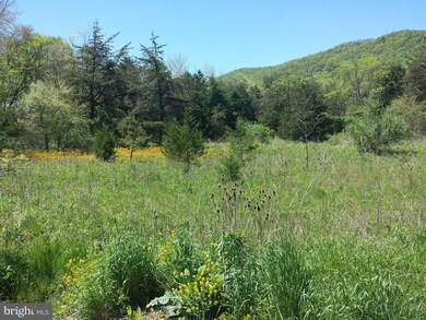 0 Buttercup Dr unit 1000146837, Mathias, WV 26812 - photo 3