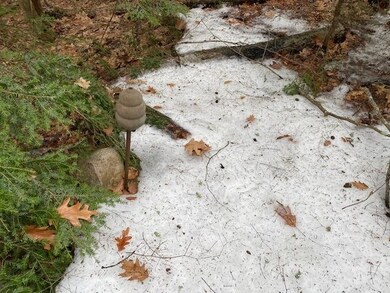 17 Nina Lee, Putney, VT 05346 - photo 5