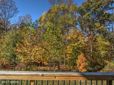 17677 Marbury St, Round Hill, VA 20141 - photo 4