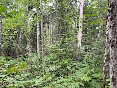 3 lots W River Rd, Garfield Township, MI 49762 - photo 3