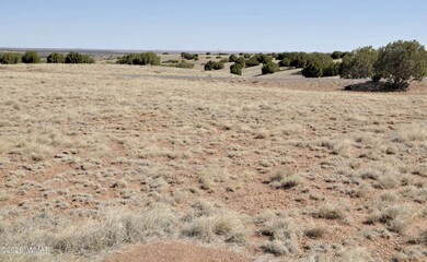 14 Cr 5525, Concho, AZ 85924 - photo 5