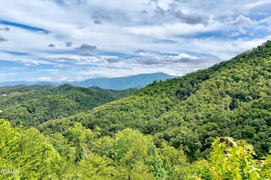 2743 Overholt Trail, Sevierville, TN 37862 - photo 3