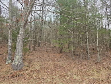 TBD Taylors Chapel Rd, Fries, VA 24330 - photo 2