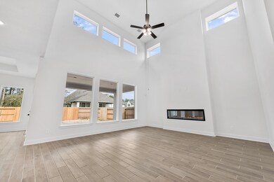 18115 Harbor Trail, Woodloch, TX 77302 - photo 5