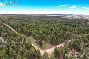 12375 Mount Shasta Dr unit 1, Elbert, CO 80106 - photo 4