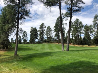 608 N Trailhead Dr unit 16, Payson, AZ 85541 - photo 4